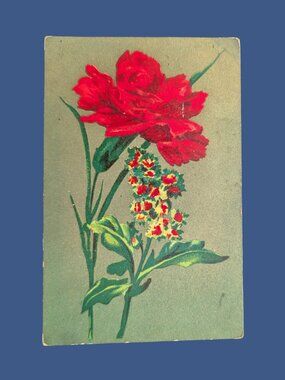10/$25 Antique Gilded Postmarked Golden Age Floral Postcard Red Carnation